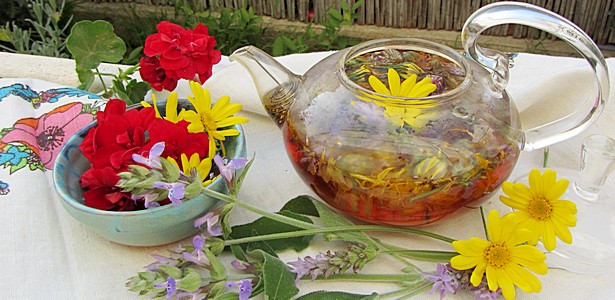 Лекарственные травы